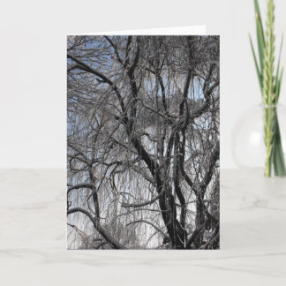 Winter ~ 24 feestdagen kaart