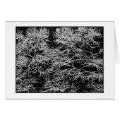 "Winter Abstract"-vakantiekaart - Kerstmis (Voorkant Horizontaal)