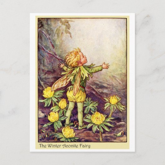 Winter Aconite Fairy Briefkaart (Voorkant)