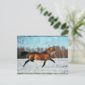 Winter Akhal-teke Briefkaart (Staand voorkant)