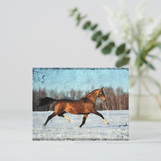 Winter Akhal-teke Briefkaart (Staand voorkant)
