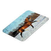 Winter Akhal-teke Magneet (Linkerzijde)