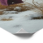 Winter Alice matte waarde poster (Hoek)