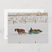 Winter-Amish-boer op het werk-Briefkaart Briefkaart (Voorkant / Achterkant)