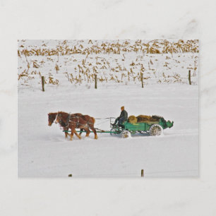 Winter-Amish-boer op het werk-Briefkaart Briefkaart