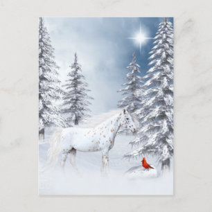 Winter appaloosa briefkaart