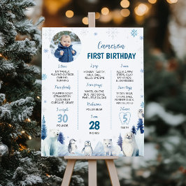 Winter Arctic Animals 1st Birthday Milestone Foto Poster