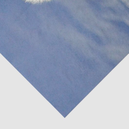 Winter Arctic Fox Tissuepapier (Detail)