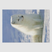 Winter Arctic Fox Tissuepapier (Voorkant)