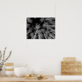 Winter Aspen Trees - Black Sky Poster (Keuken)