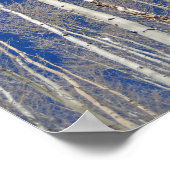 Winter Aspen Trees Poster (Hoek)