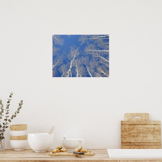 Winter Aspen Trees Poster (Keuken)