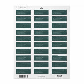 Winter Aurora Return Address Label (Full Sheet)
