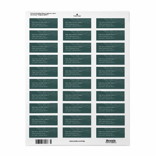 Winter Aurora Return Address Label (Full Sheet)