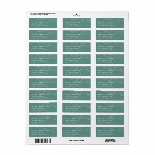 Winter Aurora Return Address Label (Full Sheet)