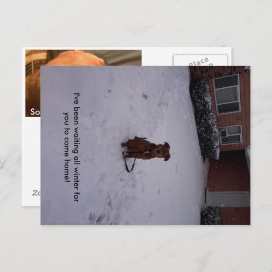 Winter Away Briefkaart (Voorkant / Achterkant)