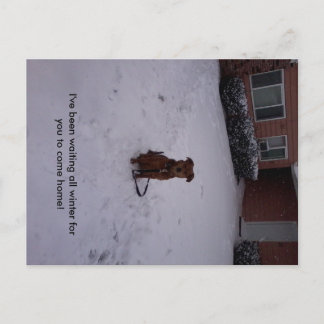 Winter Away Briefkaart