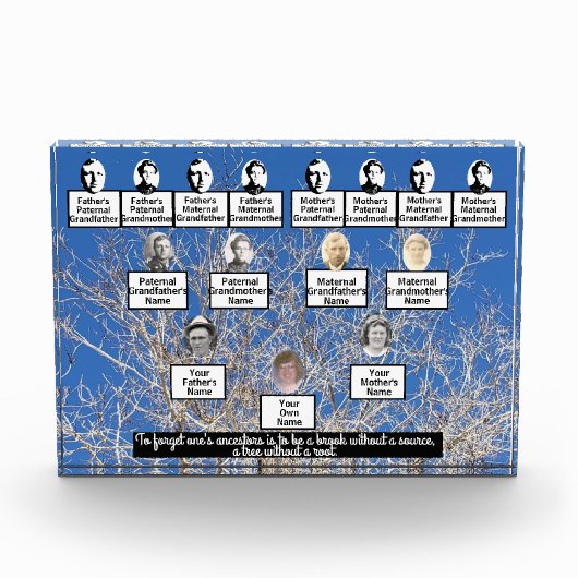 Winter Bare Branch Tree Fotoserie Quote Fotoblokken (Voorkant)