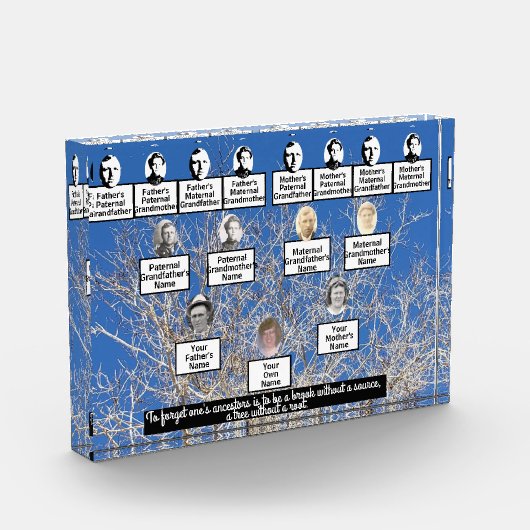 Winter Bare Branch Tree Fotoserie Quote Fotoblokken (Links)