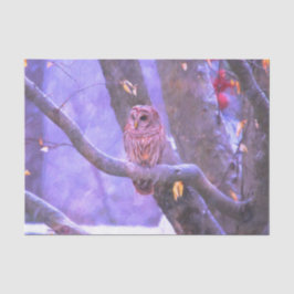 Winter Barn Owl Tissuepapier