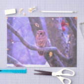Winter Barn Owl Tissuepapier (Craft)