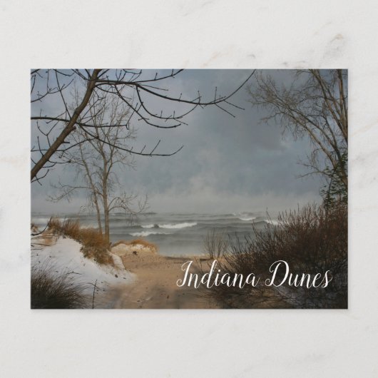 Winter Beach, Lake, Indiana Duinen NTL.Lakeshore Briefkaart (Voorkant)