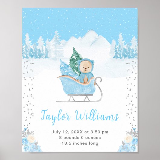 Winter Beer Blue Sleigh Geboorte Statistieken Poster (Voorkant)