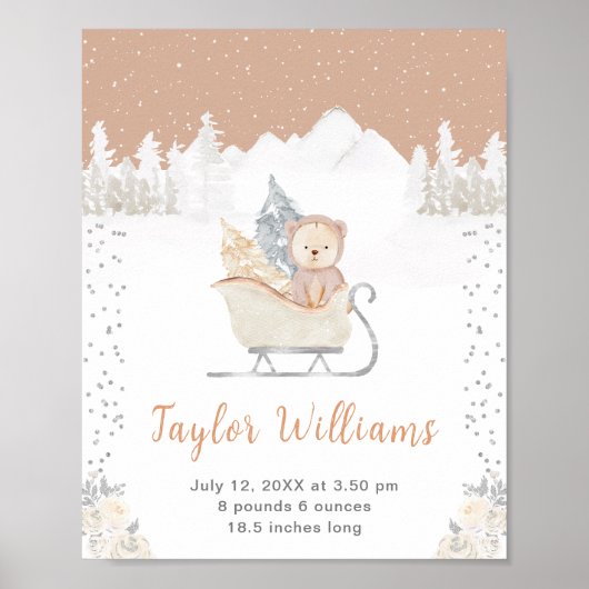 Winter Beer Bruin Sleigh Geboorte Statistieken Poster (Voorkant)