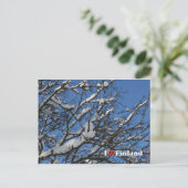 Winter Berries Briefkaart (Staand voorkant)