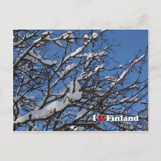 Winter Berries Briefkaart (Voorkant)