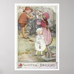 Winter Berries van Anne Anderson Poster