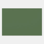 Winter Berry & Evergreen Christmas Gift Wrap Set 3 Inpakpapier Vel (Voorkant 2)