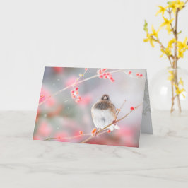 "Winter Berry Junco", 5 x 7" gevouwen Wenskaart Kaart