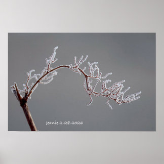 Winter bevroren tak poster