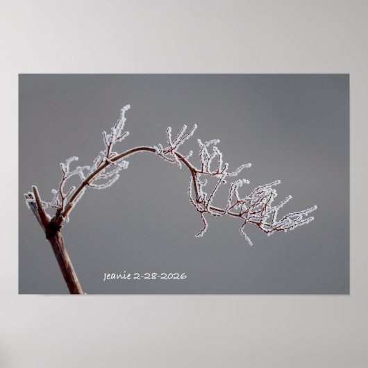 Winter bevroren tak poster (Voorkant)