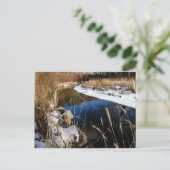 winter bij de beek briefkaart (Staand voorkant)