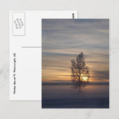 Winter bij Ft. Wainwright Briefkaart (Voorkant / Achterkant)