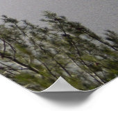 Winter bij het Whiskeytown Lake... Poster (Hoek)