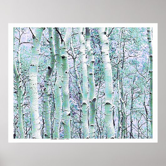 Winter Birch Poster (Voorkant)