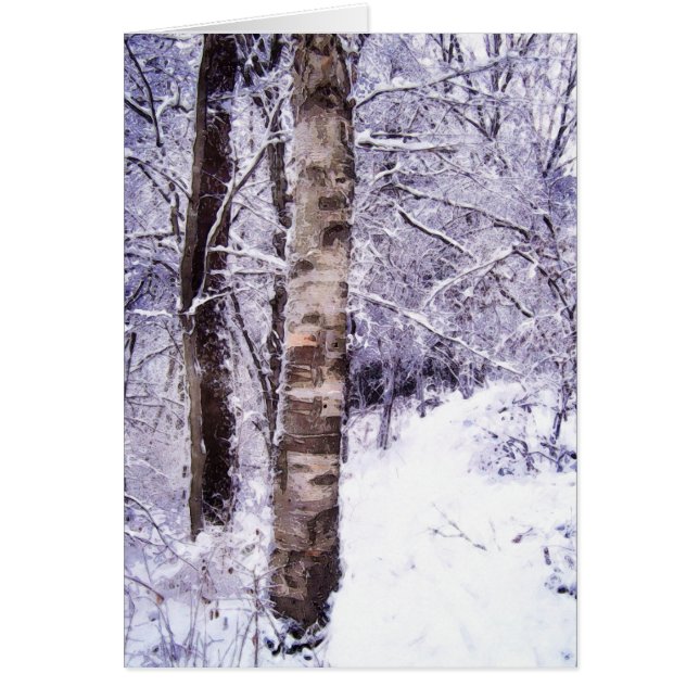 Winter Birch Tree (Voorkant)