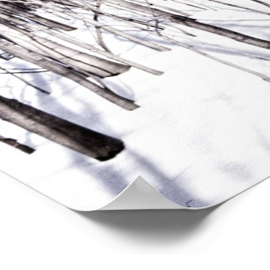 Winter Birch, Tree Snow Forest Branches Nature Poster (Hoek)