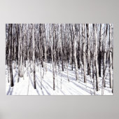 Winter Birch, Tree Snow Forest Branches Nature Poster (Voorkant)