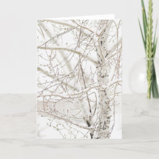 Winter Birch Tree - voeg uw aangepaste begroeting  Feestdagen Kaart