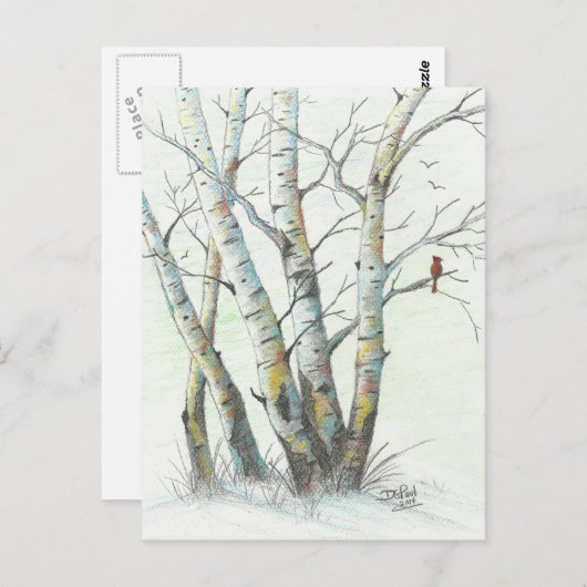 Winter Birches gekleurd potlood Art Briefkaart (Voorkant / Achterkant)