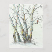 Winter Birches gekleurd potlood Art Briefkaart (Voorkant)