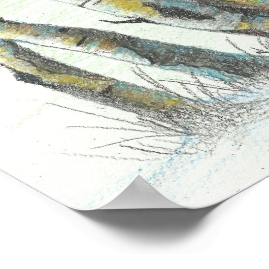 Winter Birches gekleurd potlood Art Poster (Hoek)