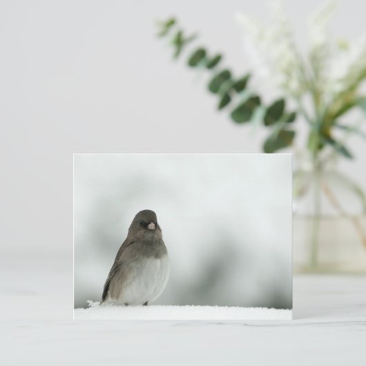 Winter Bird Briefkaart (Staand voorkant)