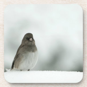 Winter Bird Drankjes Onderzetter