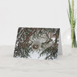 Winter Bird Feeder Holiday Card Feestdagen Kaart
