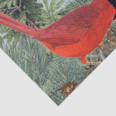 Winter Bird Forest Cardinaal Chickadee Nuthatch Sk Tissuepapier (Detail)